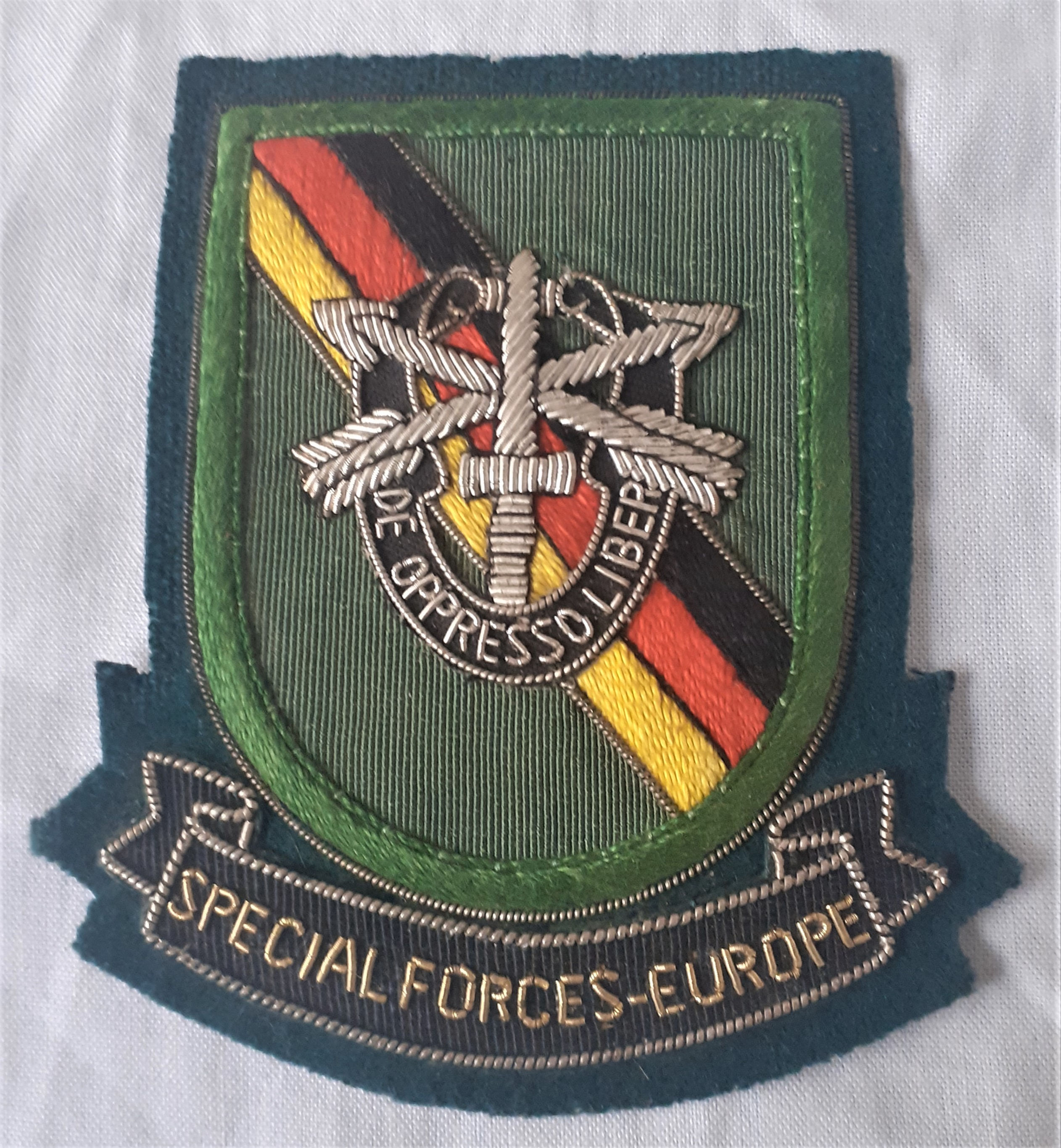 Patch - US232205b  Patch 1st Batallion 10th Special force