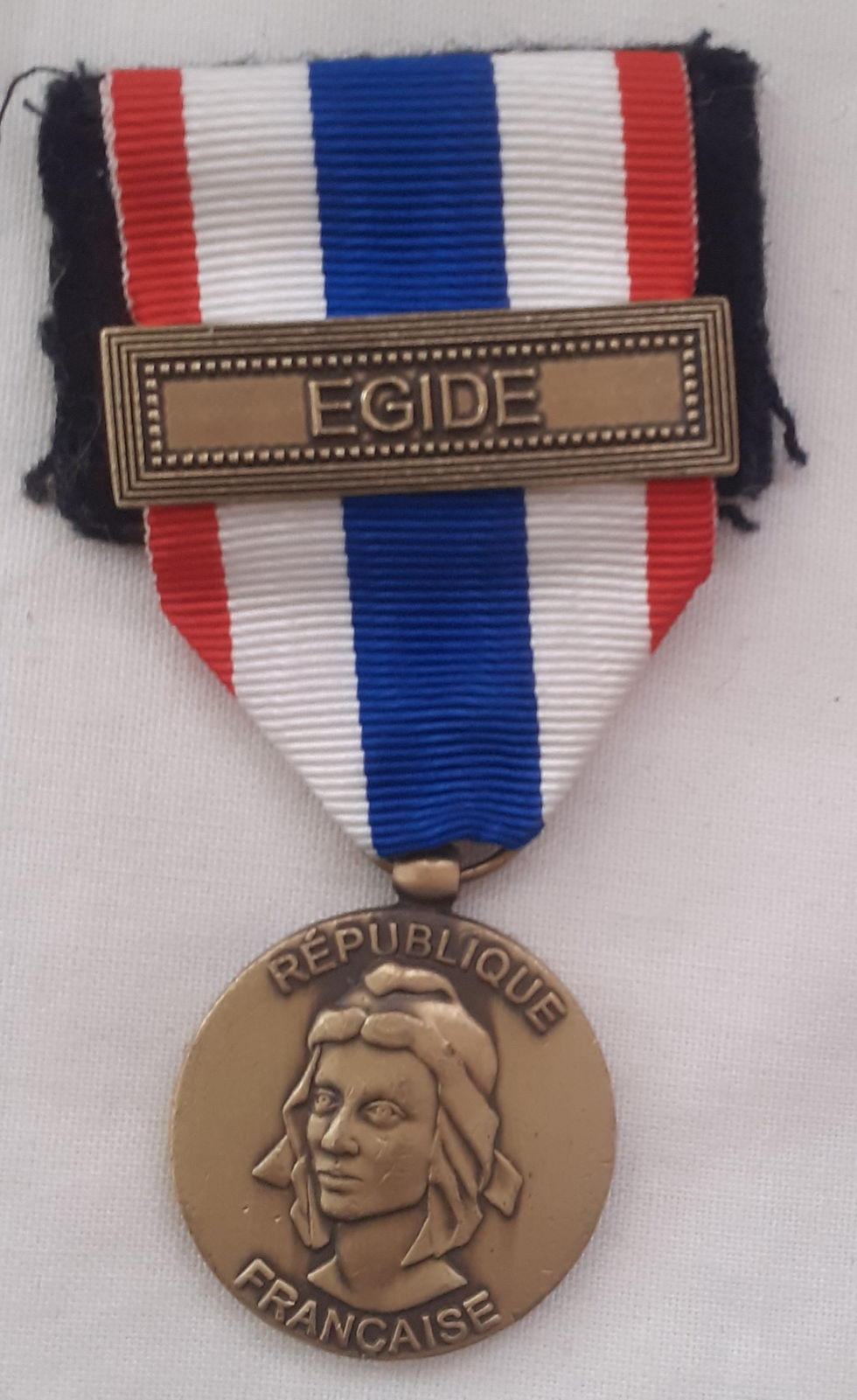 Miniature : Médaille - FR75412a  Protection militaire du territoire