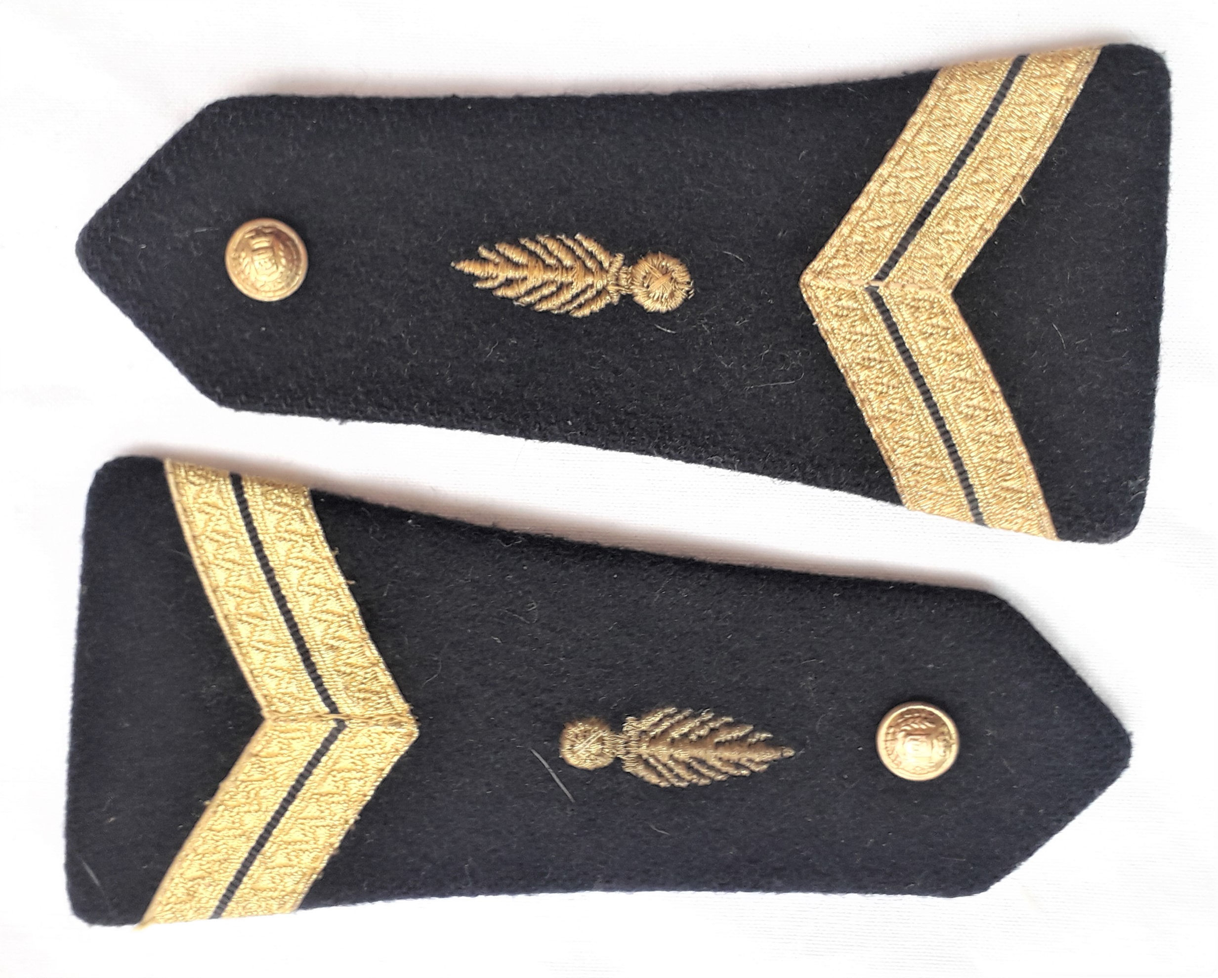 Grade - FR67205a Paire épaulette MDL Garde Républicain