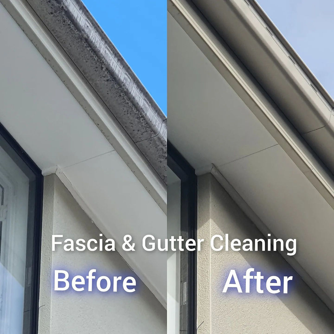 Fascia and gutters after a soft wash