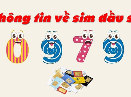 Sim đầu số 0979 có gì HOT? Tại sao sim đầu 0979 lại được ưa chuộng?