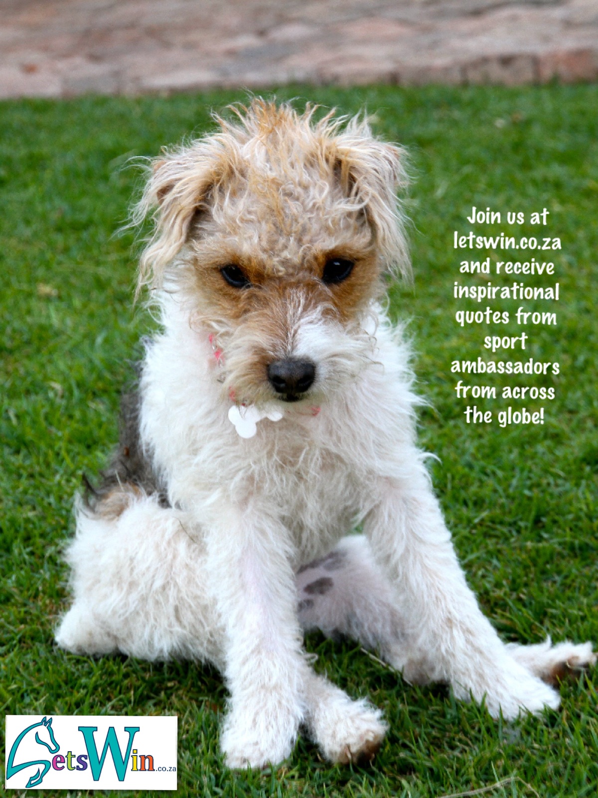 1377168048_Photo 2013-08-20 8 58 20 AM