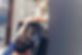 AdobeStock_371418215.jpeg