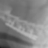 spinal neck surgery dogs