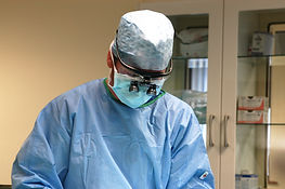 spinal surgery in a dog