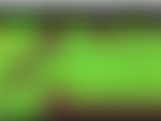 Adventure RPG Update 12.18.2020- Boogie Boards & Bonesters!