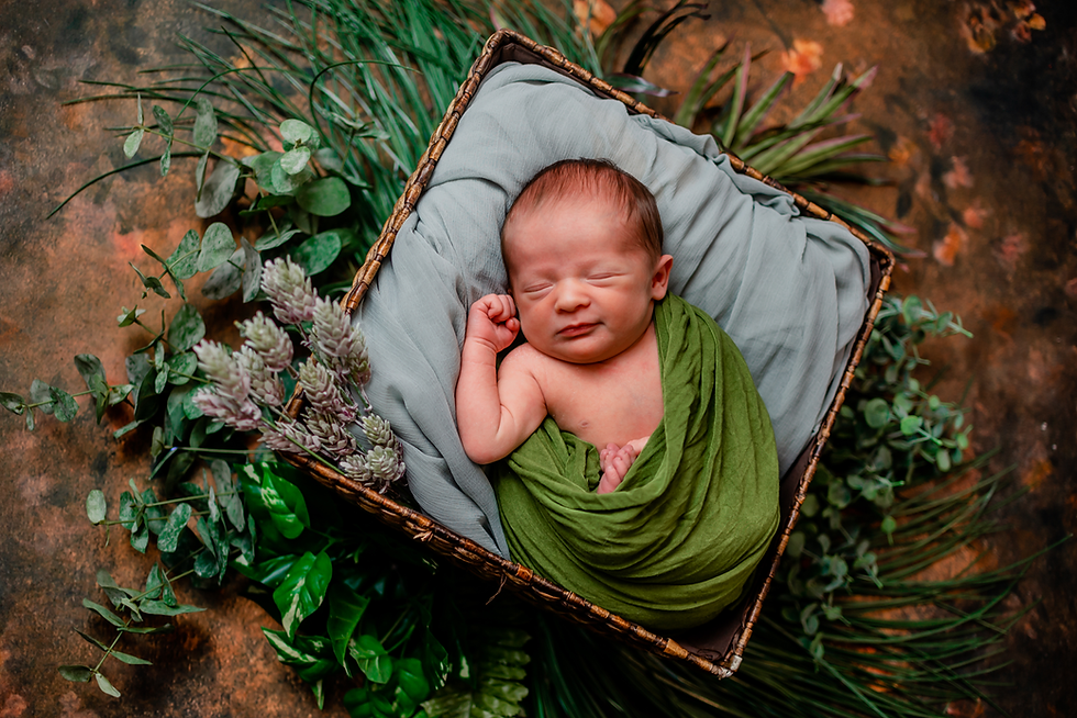 Newborn baby boy in basket and wrap with greenery