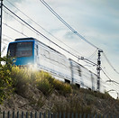 252911-P45EYF-568.jpg