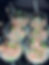 IMG_6715.PNG