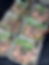 IMG_6728.PNG