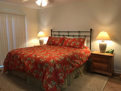 Master Bedroom with New King Bed