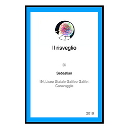 Il risveglio