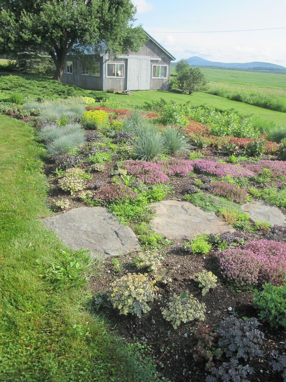 Cindy's Garden