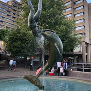 IMG_5721.jpeg