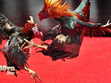 Những lợi ích khi cá cược có trách nghiệm