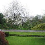 A Plus Lawn and Garden photo 5
