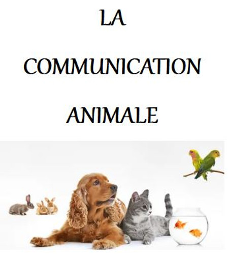 photo communication animale.JPG