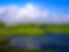 TCC GOLF CLUB 5.jpg