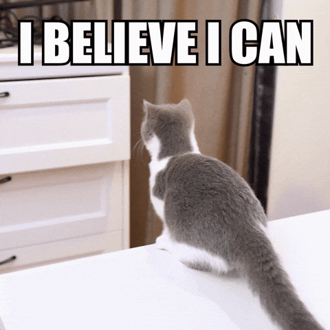Cat Jump GIF by Wengie.gif