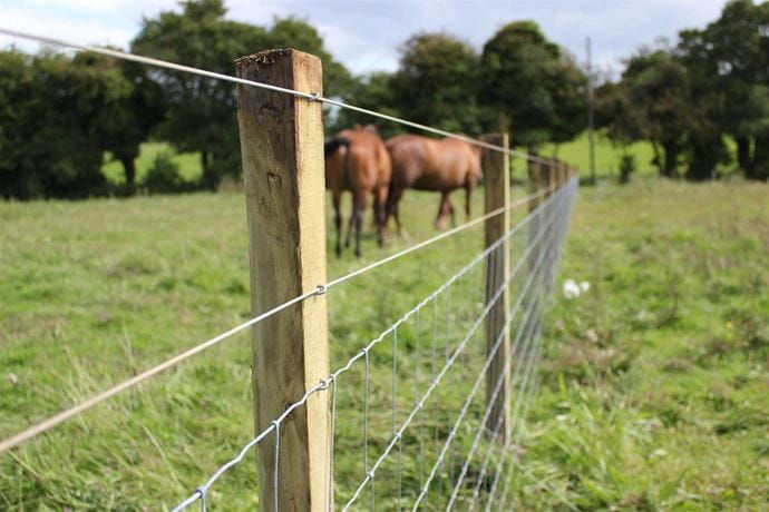 Plain Wire Fencing.jpg