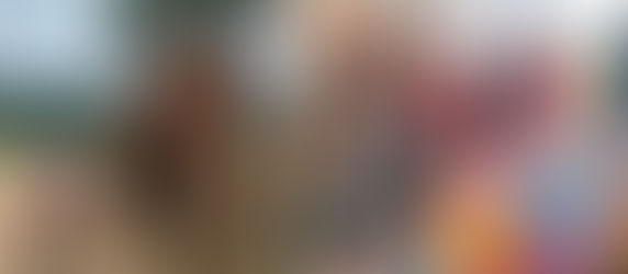 Sri Nuan at Elephant Nature Park in Thailand, and Longridge residents knitting woollen blankets for her