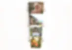 custom-personalised-photo-casket-design-nz.webp