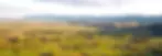 Longridge Country Estate, Paeroa, with Coromandel Ranges in the distance