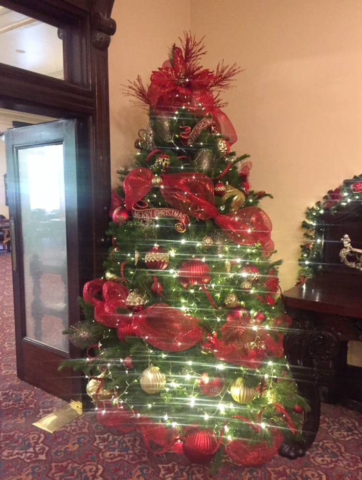 Christmas Tree Delivery Melbourne