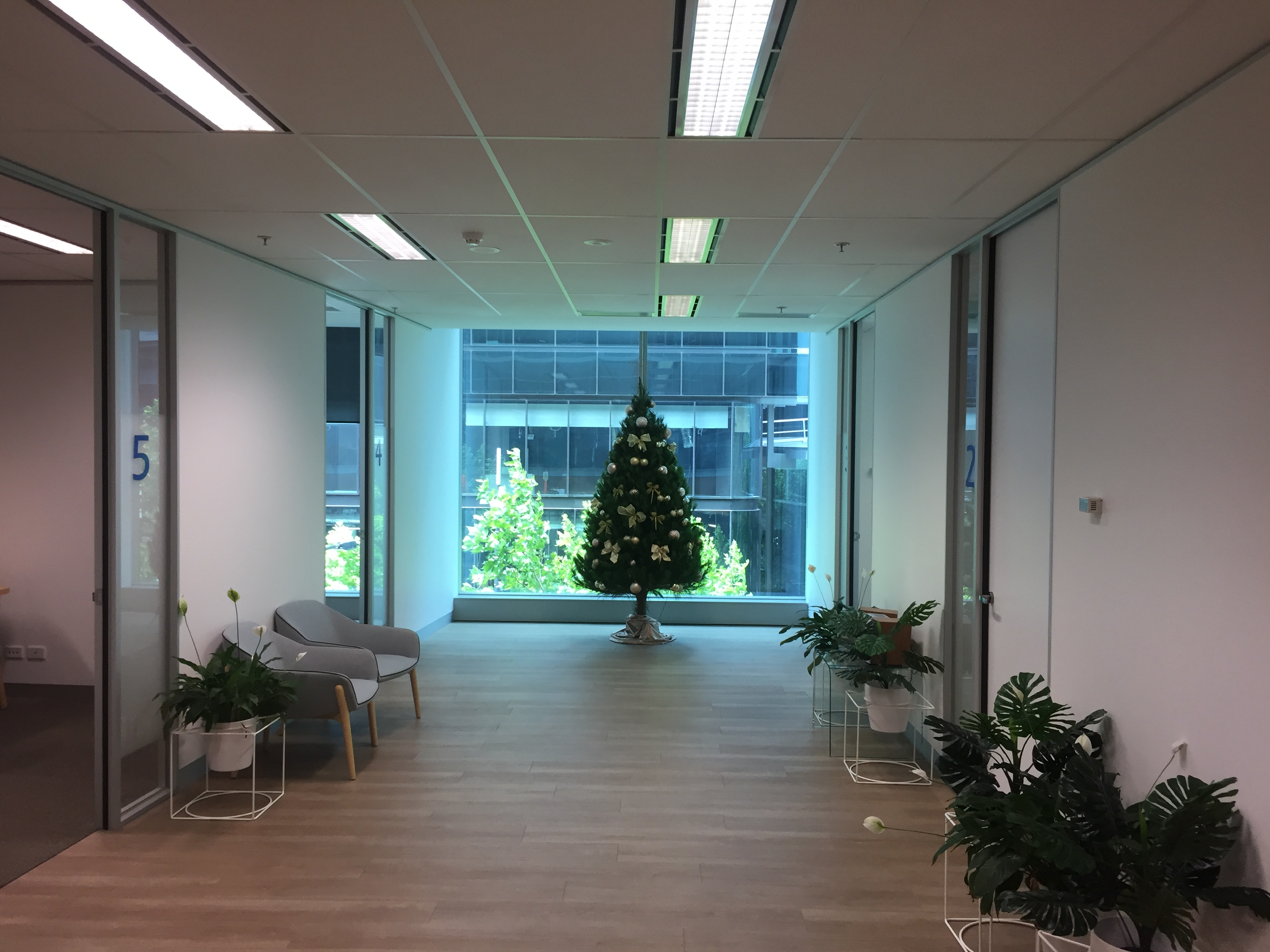 Christmas Tree Delivery Melbourne