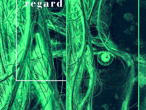 L'ESPACE PREND LA FORME DE MON REGARD # Recueil d'Hubert REEVES - Éditions SEUIL
