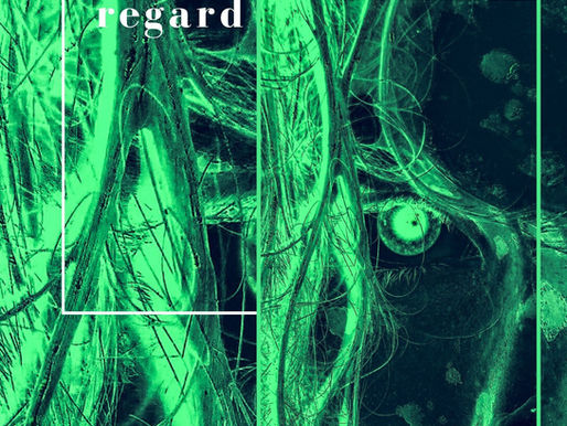 L'ESPACE PREND LA FORME DE MON REGARD # Recueil d'Hubert REEVES - Édition du seuil