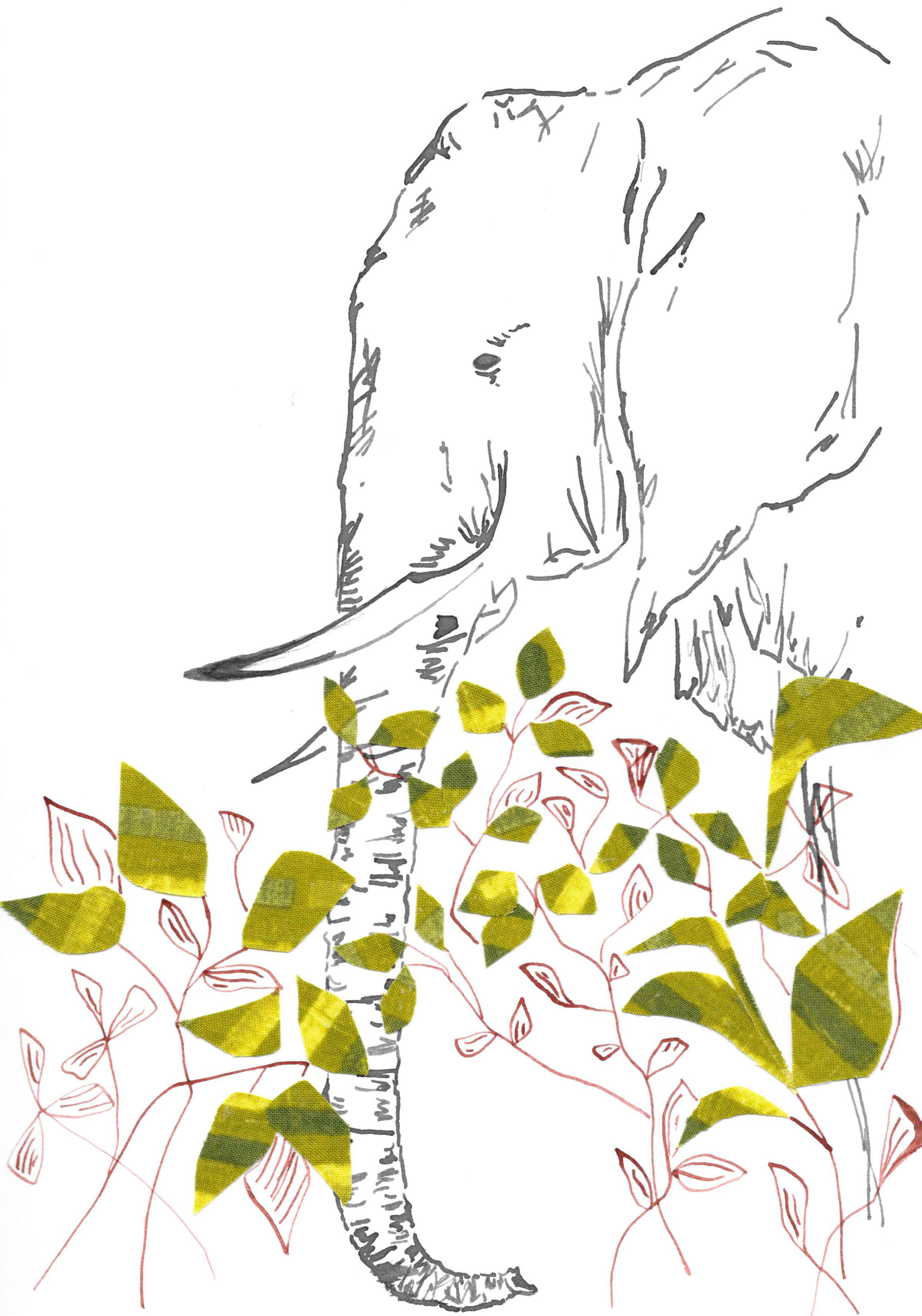 Elephant in Foliage