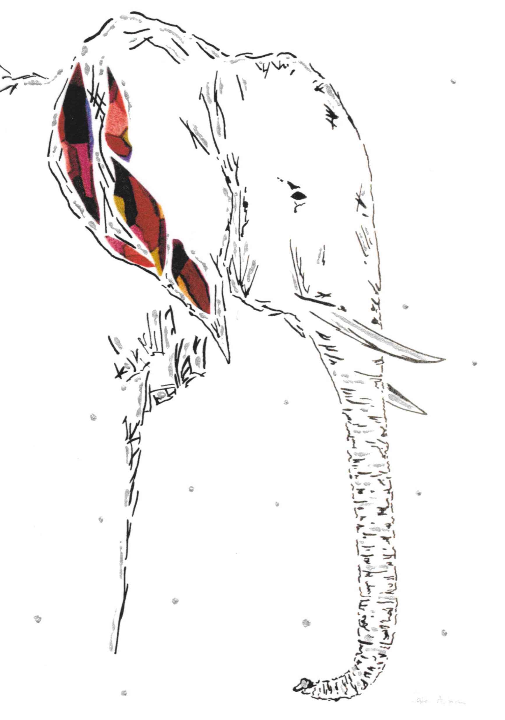 Elephant