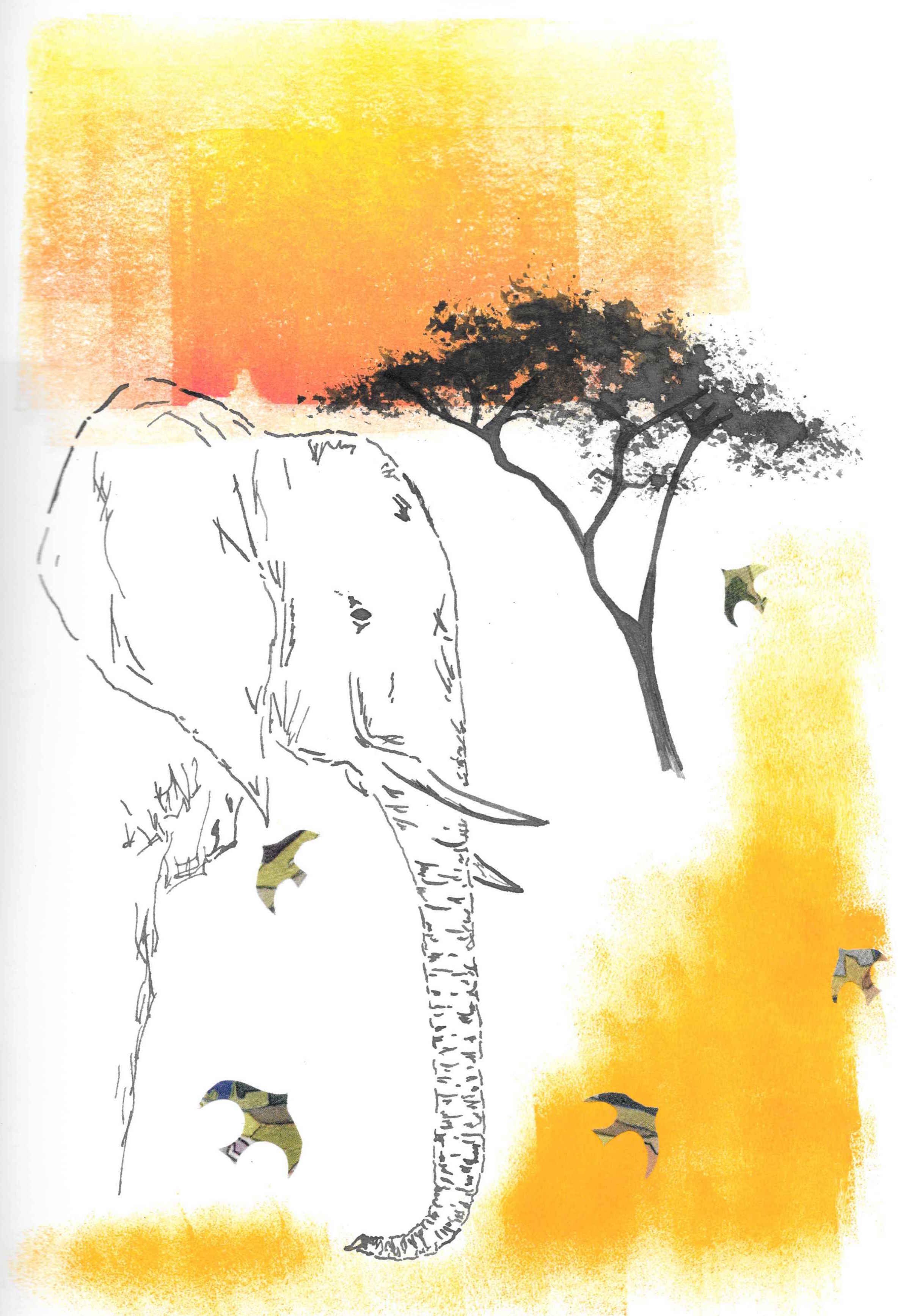 Elephant Sunset
