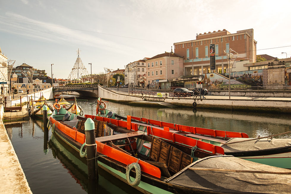 Things to Do in Aveiro, Portugal: The Ultimate Active Traveller's Guide (2026)