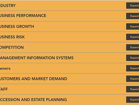 How does RACI's Business Health Traffic light Assessment work?