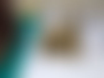 Cuckoo clear top and face conversion (Part 2)