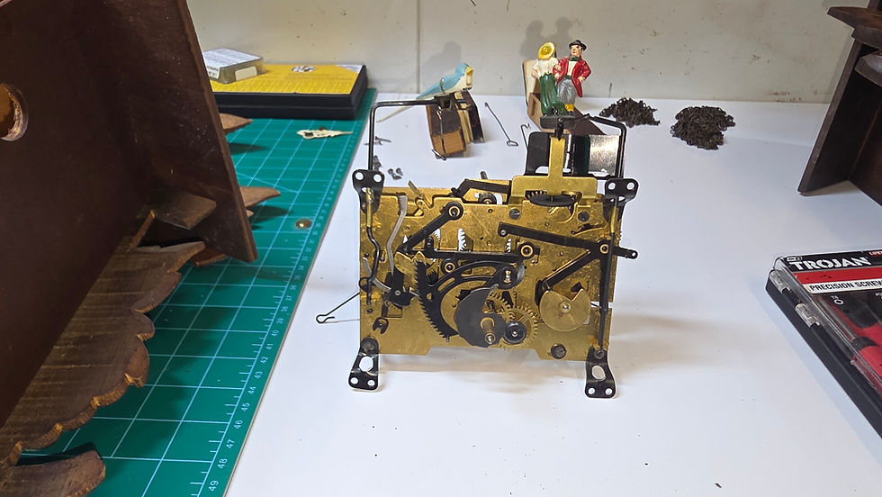 Cuckoo clear top and face conversion (Part 1)