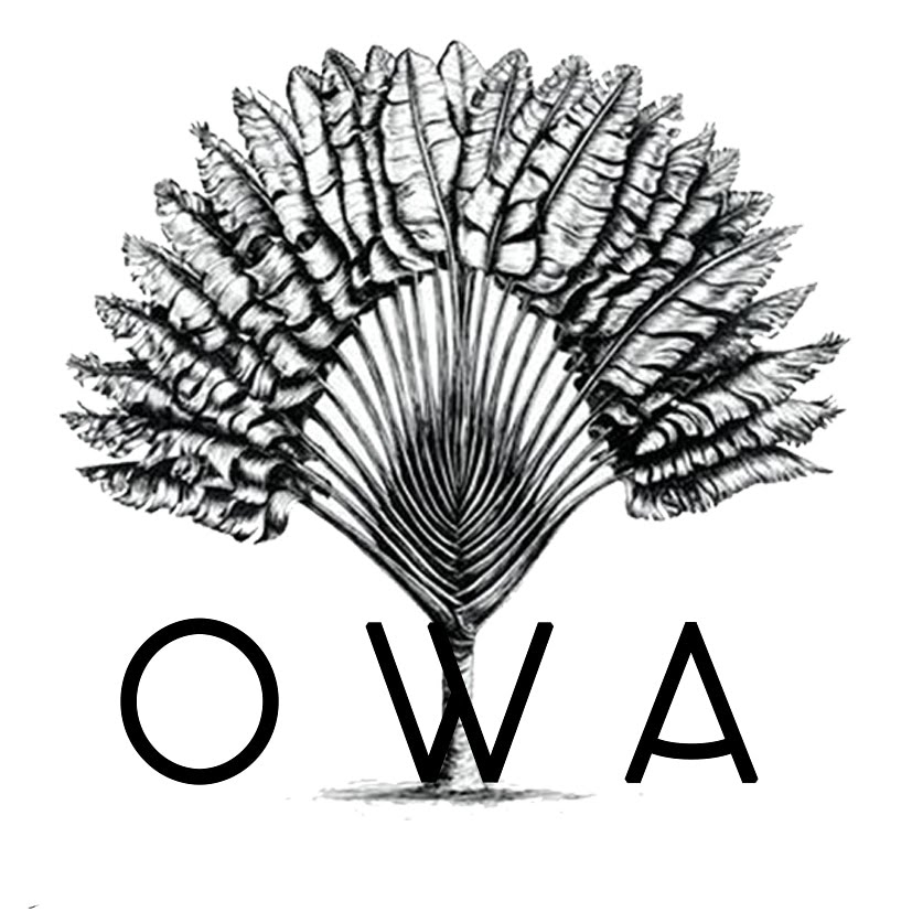 Writer: Owa Lodge