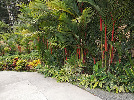 Copia de (Ejemplo Jardín) borde IMG_20180823_112219.jpg