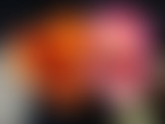 "Echinopsis Wonders: The Majestic Giants of the Cactus World"