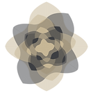 flower-05.png