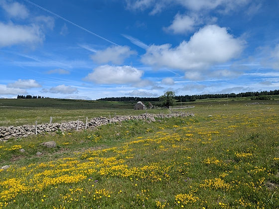 PXL_20260609_094234963.jpg