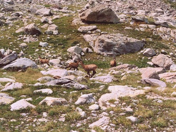 ValleeMerveilles06_s.jpg
