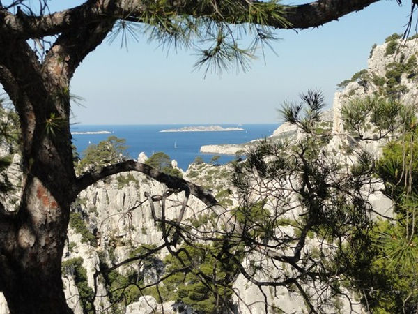Calanques05_s.jpg