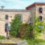 Mystery in the Vines