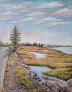 Crescent Beach Road