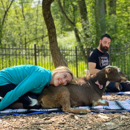 Goat Yoga at Nature's Trail Yoga: It's More Than Just a Photo Op!
