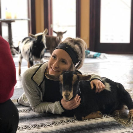 Goat Yoga Animal Therapy Oak Lawn, IL