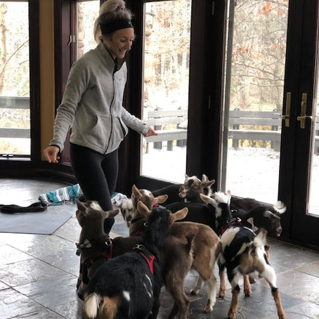 Bridal Shower Goat Yoga Joliet, IL